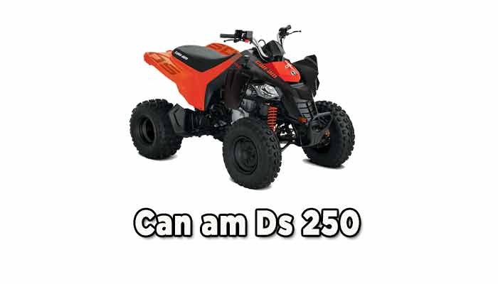 Can am Ds 250 specs